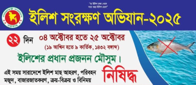 ৪ অক্টোবর থেকে ইলিশ সংরক্ষণ অভিযান শুরু