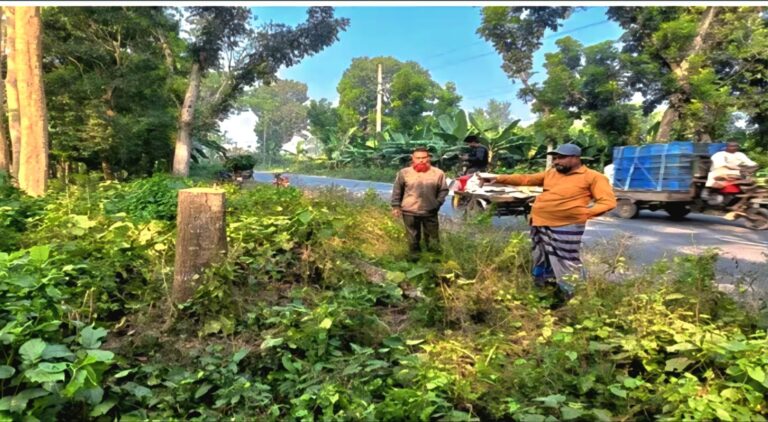 ঝিনাইদহের মহেশপুরের সড়কে গাছ ফেলে ডাকাতি