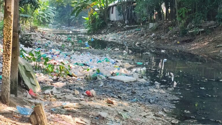 কালকিনিতে দখল–দূষণে মৃতপ্রায় ঐতিহ্যবাহী ‘কুমার ডুবি’ খাল থমকে গেছে জনজীবন ও কৃষিকাজ